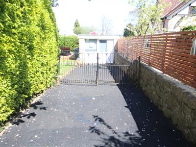 Picture 25